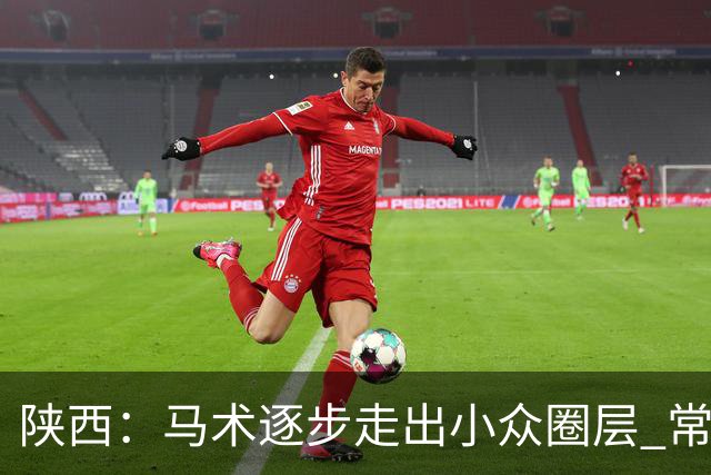 陕西：马术逐步走出小众圈层 常年参训人数达数千人